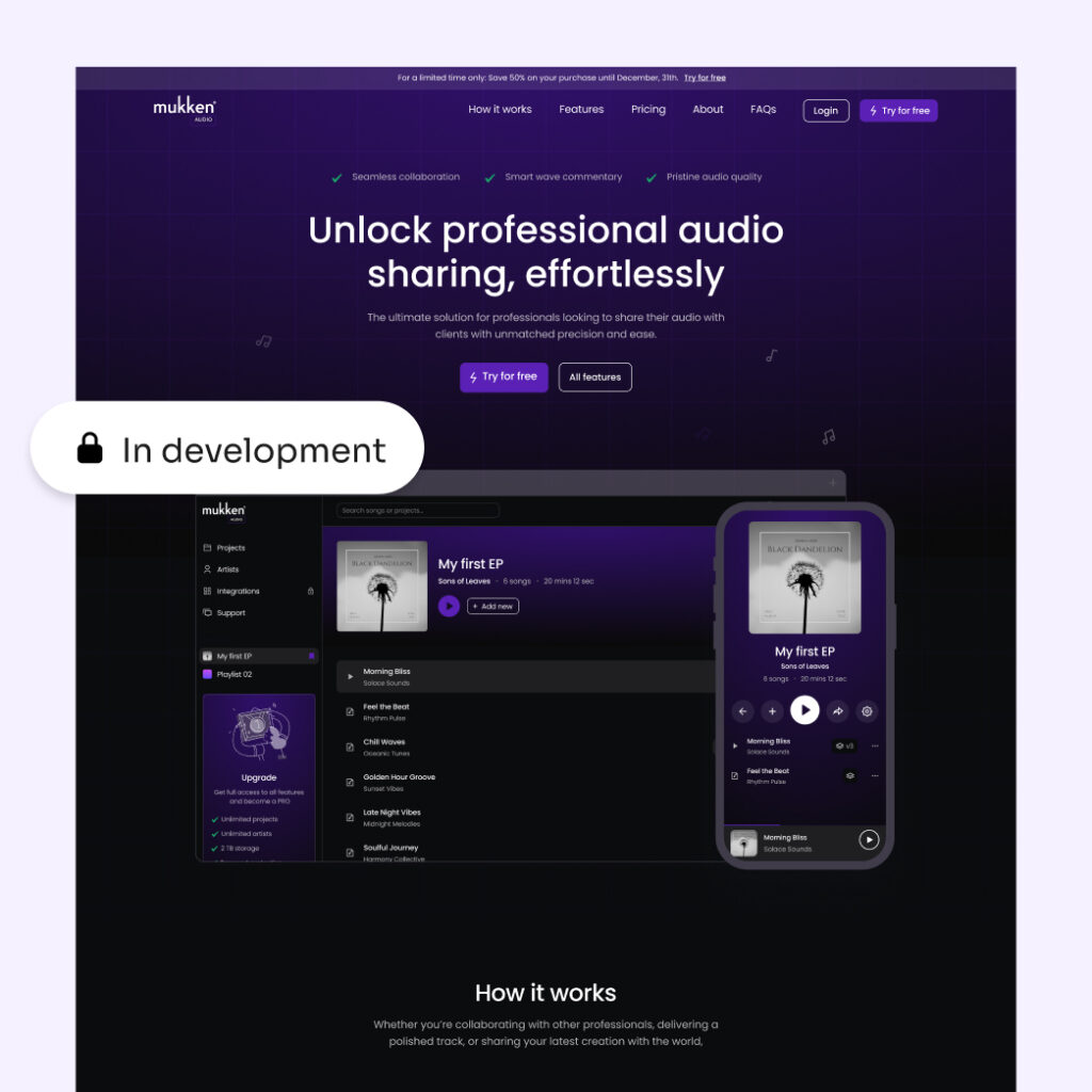 Online Platform Development - SaaS Developer